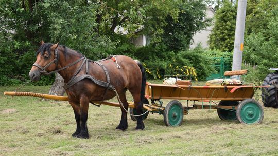 Gm. Łopiennik Górny. Uroczyste "Zielone Świątki" [GALERIA ZDJĘĆ]