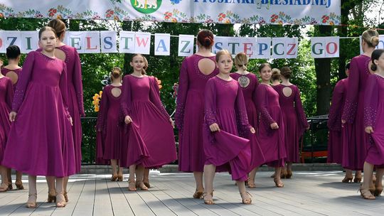 III Powiatowy Festiwal Piosenki Biesiadnej i Święto Rodzin Zastępczych w Nowinach cz. II [GALERIA ZDJĘĆ]