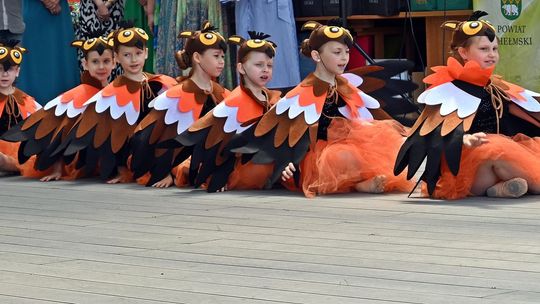 III Powiatowy Festiwal Piosenki Biesiadnej i Święto Rodzin Zastępczych w Nowinach cz. II [GALERIA ZDJĘĆ]