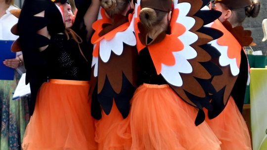 III Powiatowy Festiwal Piosenki Biesiadnej i Święto Rodzin Zastępczych w Nowinach cz. II [GALERIA ZDJĘĆ]