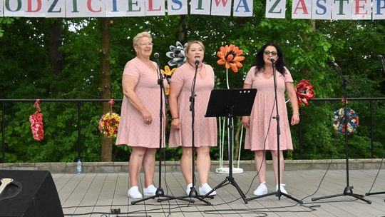 III Powiatowy Festiwal Piosenki Biesiadnej i Święto Rodzin Zastępczych w Nowinach cz. II [GALERIA ZDJĘĆ]