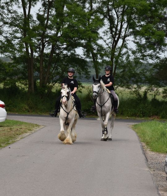 Gm. Łopiennik Górny. Uroczyste "Zielone Świątki" [GALERIA ZDJĘĆ]
