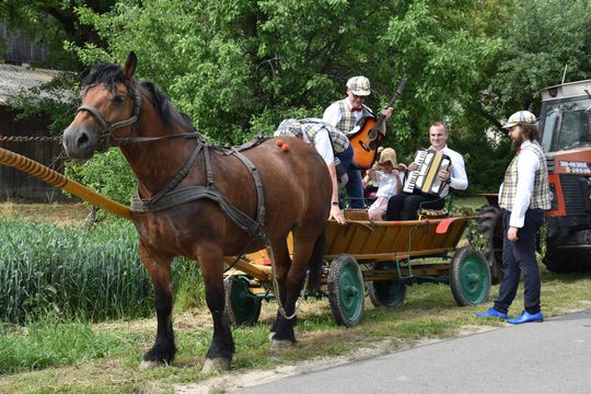 Gm. Łopiennik Górny. Uroczyste "Zielone Świątki" [GALERIA ZDJĘĆ]