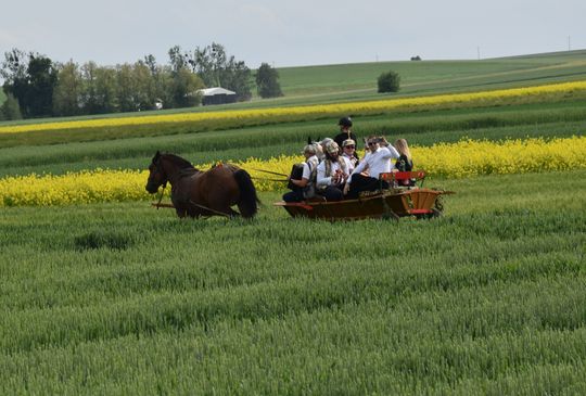 Gm. Łopiennik Górny. Uroczyste "Zielone Świątki" [GALERIA ZDJĘĆ]
