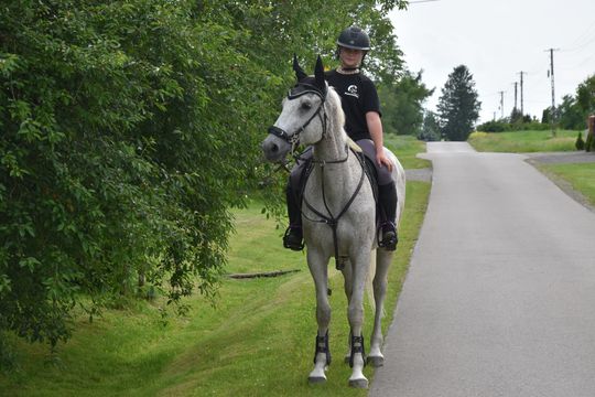 Gm. Łopiennik Górny. Uroczyste "Zielone Świątki" [GALERIA ZDJĘĆ]
