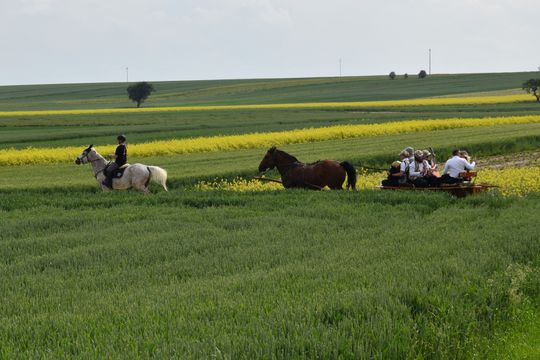 Gm. Łopiennik Górny. Uroczyste "Zielone Świątki" [GALERIA ZDJĘĆ]