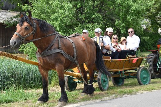 Gm. Łopiennik Górny. Uroczyste "Zielone Świątki" [GALERIA ZDJĘĆ]