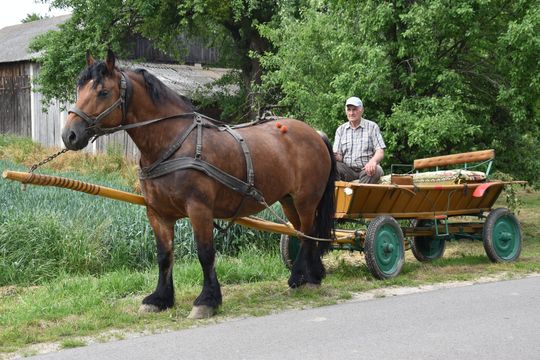 Gm. Łopiennik Górny. Uroczyste "Zielone Świątki" [GALERIA ZDJĘĆ]