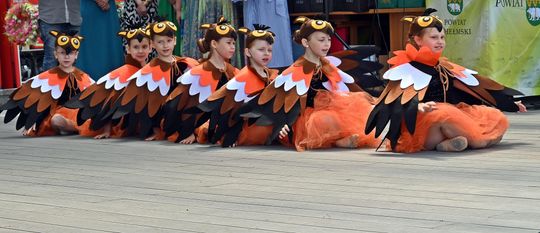 III Powiatowy Festiwal Piosenki Biesiadnej i Święto Rodzin Zastępczych w Nowinach cz. II [GALERIA ZDJĘĆ]