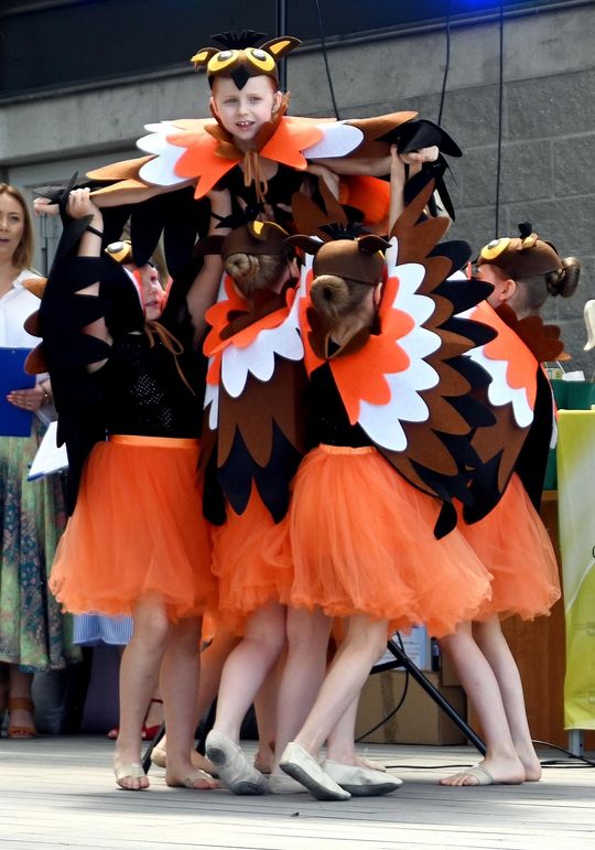 III Powiatowy Festiwal Piosenki Biesiadnej i Święto Rodzin Zastępczych w Nowinach cz. II [GALERIA ZDJĘĆ]