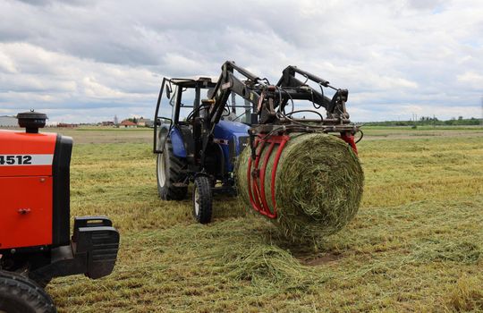 Gm. Chełm. „Okszowskie Agro Show” - pokaz maszyn wymarzonych przez rolnika [GALERIA ZDJĘĆ]