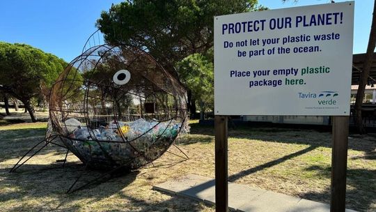 Budowlanka dba o klimat – kolejna odsłona Erasmus+ w chełmskiej szkole