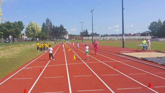 Chełm. Olimpiada Przedszkolaków na stadionie lekkoatletycznym przy II LO [GALERIA ZDJĘĆ]