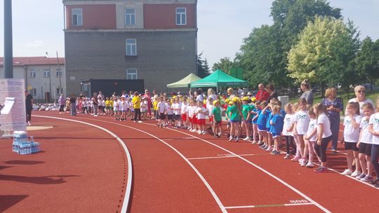 Chełm. Olimpiada Przedszkolaków na stadionie lekkoatletycznym przy II LO [GALERIA ZDJĘĆ]