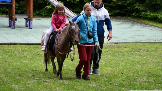 Krasnystaw: Rodzinne serca biją razem - piknik w Przedszkolu nr 4 [GALERIA ZDJĘĆ]