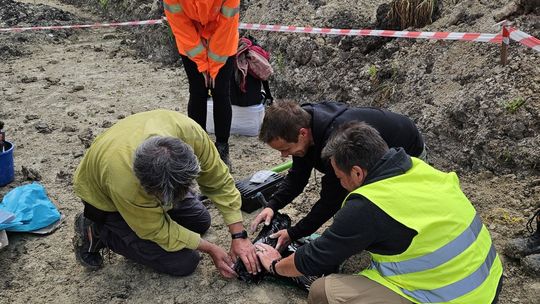 Szczątki mamuta znalezione na budowie S17 w pobliżu Zamościa. Naukowcy są zachwyceni! [ZDJĘCIA]