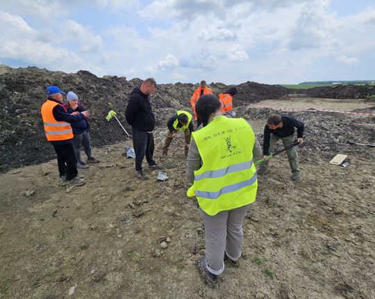 Szczątki mamuta znalezione na budowie S17 w pobliżu Zamościa. Naukowcy są zachwyceni! [ZDJĘCIA]