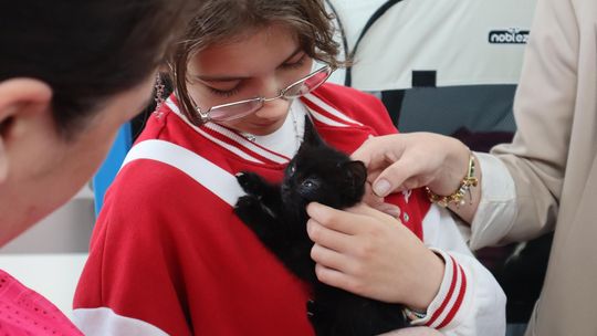 Chełm. Wystawa kotów w chełmskiej galerii handlowej [GALERIA ZDJĘĆ]