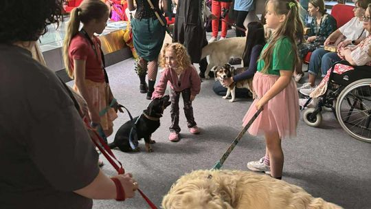 Psie-Bierane Psy-Witanie Lata w Chełmie [GALERIA ZDJĘĆ]