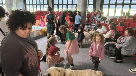 Psie-Bierane Psy-Witanie Lata w Chełmie [GALERIA ZDJĘĆ]