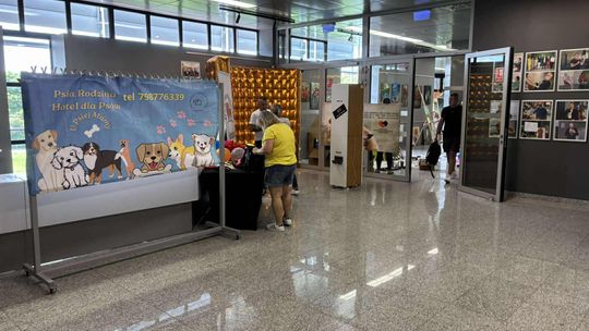 Psie-Bierane Psy-Witanie Lata w Chełmie [GALERIA ZDJĘĆ]