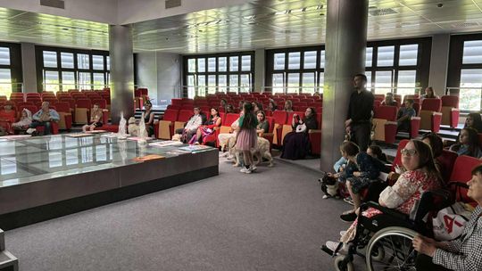 Psie-Bierane Psy-Witanie Lata w Chełmie [GALERIA ZDJĘĆ]