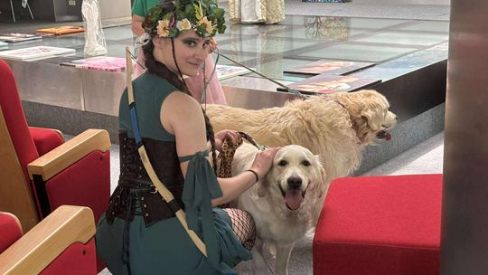 Psie-Bierane Psy-Witanie Lata w Chełmie [GALERIA ZDJĘĆ]