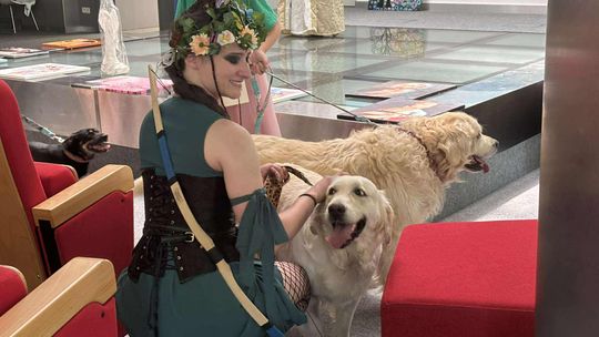 Psie-Bierane Psy-Witanie Lata w Chełmie [GALERIA ZDJĘĆ]