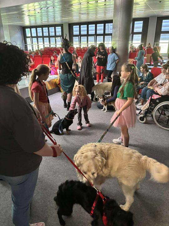 Psie-Bierane Psy-Witanie Lata w Chełmie [GALERIA ZDJĘĆ]