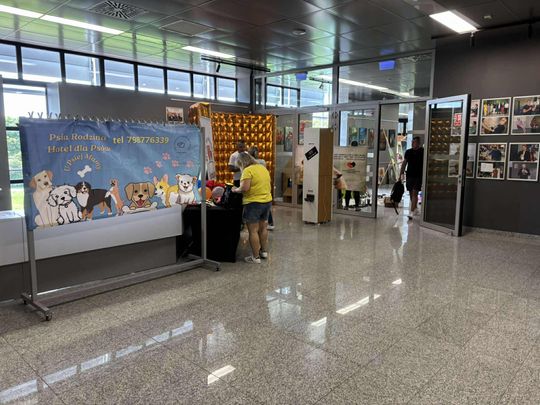 Psie-Bierane Psy-Witanie Lata w Chełmie [GALERIA ZDJĘĆ]