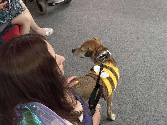 Psie-Bierane Psy-Witanie Lata w Chełmie [GALERIA ZDJĘĆ]