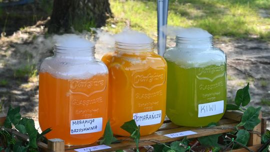 Gm. Siedliszcze. Powitanie Lata nad Zalewem w Majdanie Zahorodyńskim [GALERIA ZDJĘĆ]