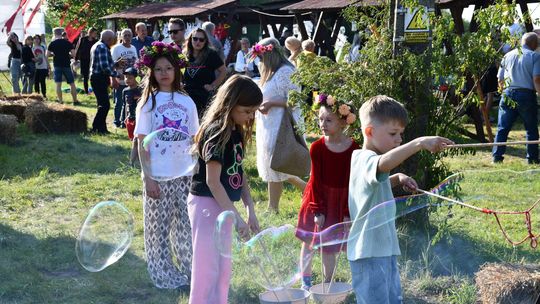 Krasnystaw. XI Palinocka pod Światowidem - magiczna sobótkowa noc nad Wieprzem [GALERIA ZDJĘĆ]