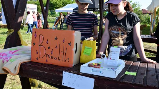 Krasnystaw. XI Palinocka pod Światowidem - magiczna sobótkowa noc nad Wieprzem [GALERIA ZDJĘĆ]