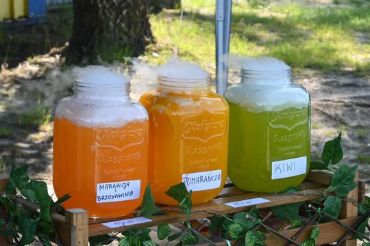 Gm. Siedliszcze. Powitanie Lata nad Zalewem w Majdanie Zahorodyńskim [GALERIA ZDJĘĆ]