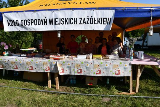 Krasnystaw. XI Palinocka pod Światowidem - magiczna sobótkowa noc nad Wieprzem [GALERIA ZDJĘĆ]