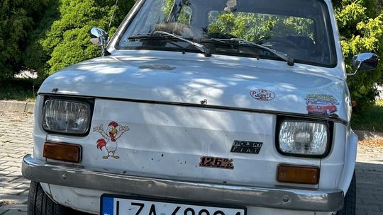 Gm. Rudnik. Piknik Rodzinny „Moja Rodzina – Moja Siła” [GALERIA ZDJĘĆ]