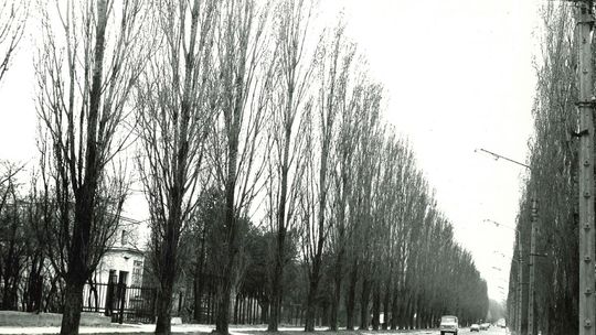 Te zdjęcia są jak brama do innego czasu. Zobaczcie Chełm sprzed pół wieku... [GALERIA ZDJĘĆ]