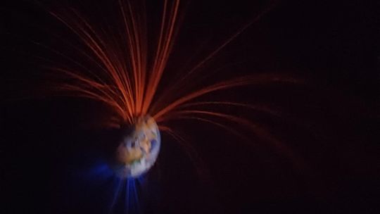 II Mistrzostwa Szkół Rolniczych. VI Krajowe Dni Pola w Bratoszewicach [GALERIA ZDJĘĆ]