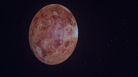 II Mistrzostwa Szkół Rolniczych. VI Krajowe Dni Pola w Bratoszewicach [GALERIA ZDJĘĆ]