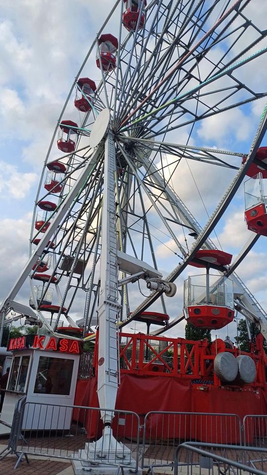 II Mistrzostwa Szkół Rolniczych. VI Krajowe Dni Pola w Bratoszewicach [GALERIA ZDJĘĆ]