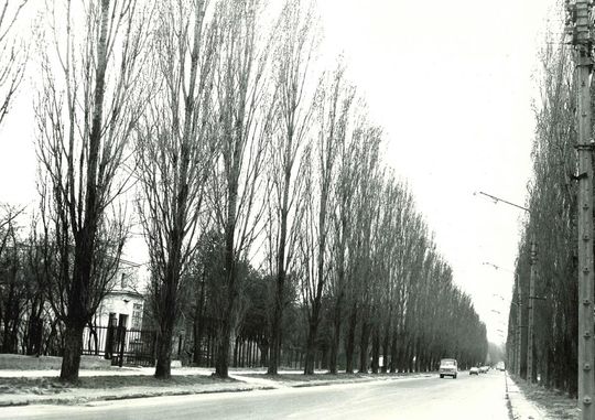 Te zdjęcia są jak brama do innego czasu. Zobaczcie Chełm sprzed pół wieku... [GALERIA ZDJĘĆ]