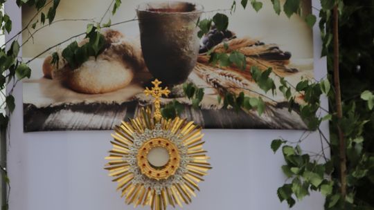 Chełm. Boże Ciało w Parafii pw. Chrystusa Odkupiciela w Chełmie [GALERIA ZDJĘĆ]