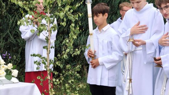 Chełm. Boże Ciało w Parafii Rzymskokatolickiej pw. Świętej Rodziny w Chełmie [GALERIA ZDJĘĆ]