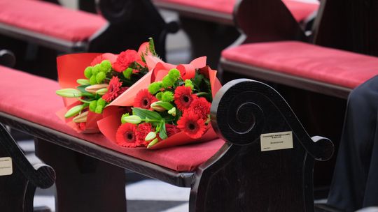 Chełm. XII Zjazd Absolwentów Chełmskiej Szkoły Technicznej, czyli  "Machajów" [GALERIA ZDJĘĆ]