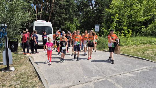 Chełm. Tłumnie upamiętnili Tomka Koguciuka. Bieg charytatywny po lesie Borek  [ZDJĘCIA]