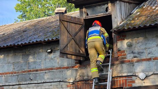 Gm. Urszulin. Pożar obory w Sękowie. Akcja strażaków trwała dwie godziny [ZDJĘCIA]