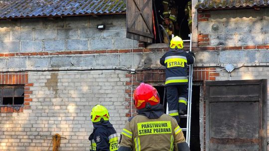 Gm. Urszulin. Pożar obory w Sękowie. Akcja strażaków trwała dwie godziny [ZDJĘCIA]