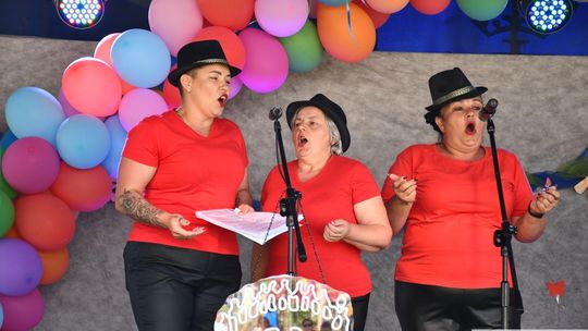 Radosny festyn rodzinny w Krasnymstawie! Ogród sensoryczny oficjalnie otwarty [GALERIA ZDJĘĆ]