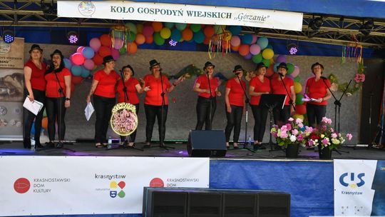 Radosny festyn rodzinny w Krasnymstawie! Ogród sensoryczny oficjalnie otwarty [GALERIA ZDJĘĆ]